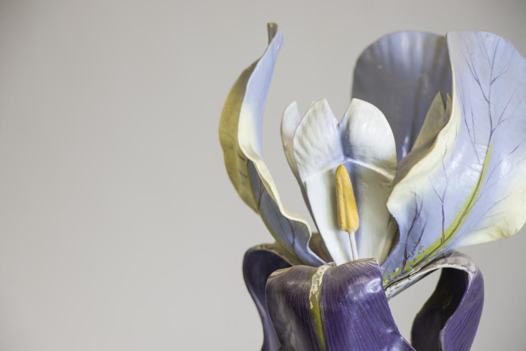 Modelo clástico de lirio 