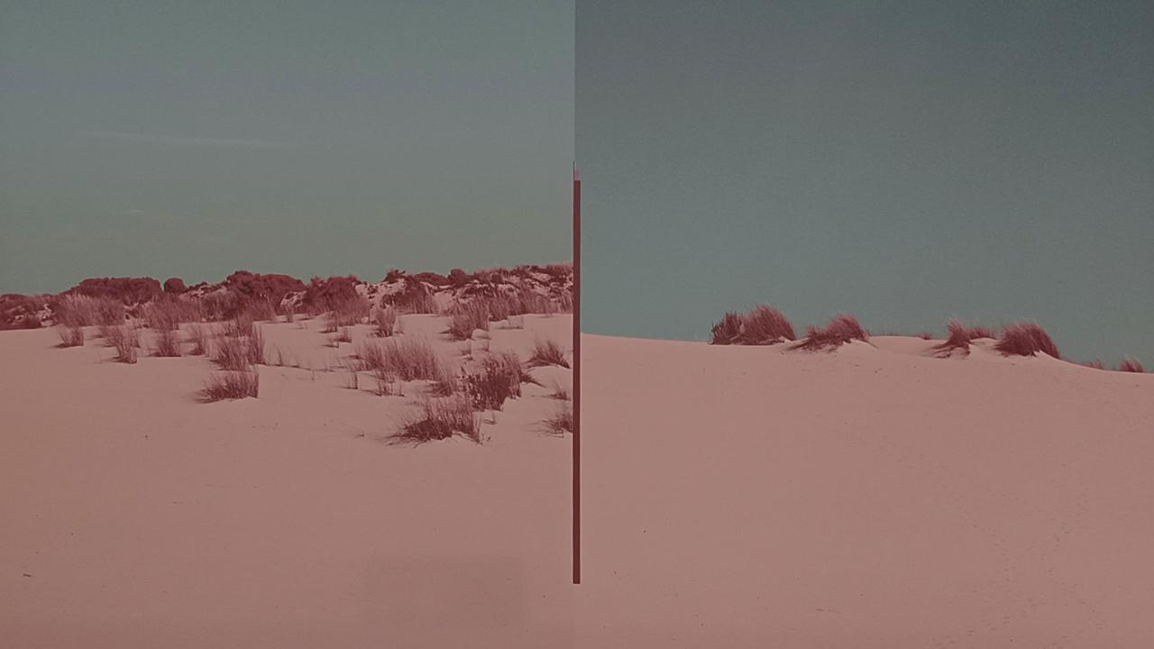 colección Contemporarte