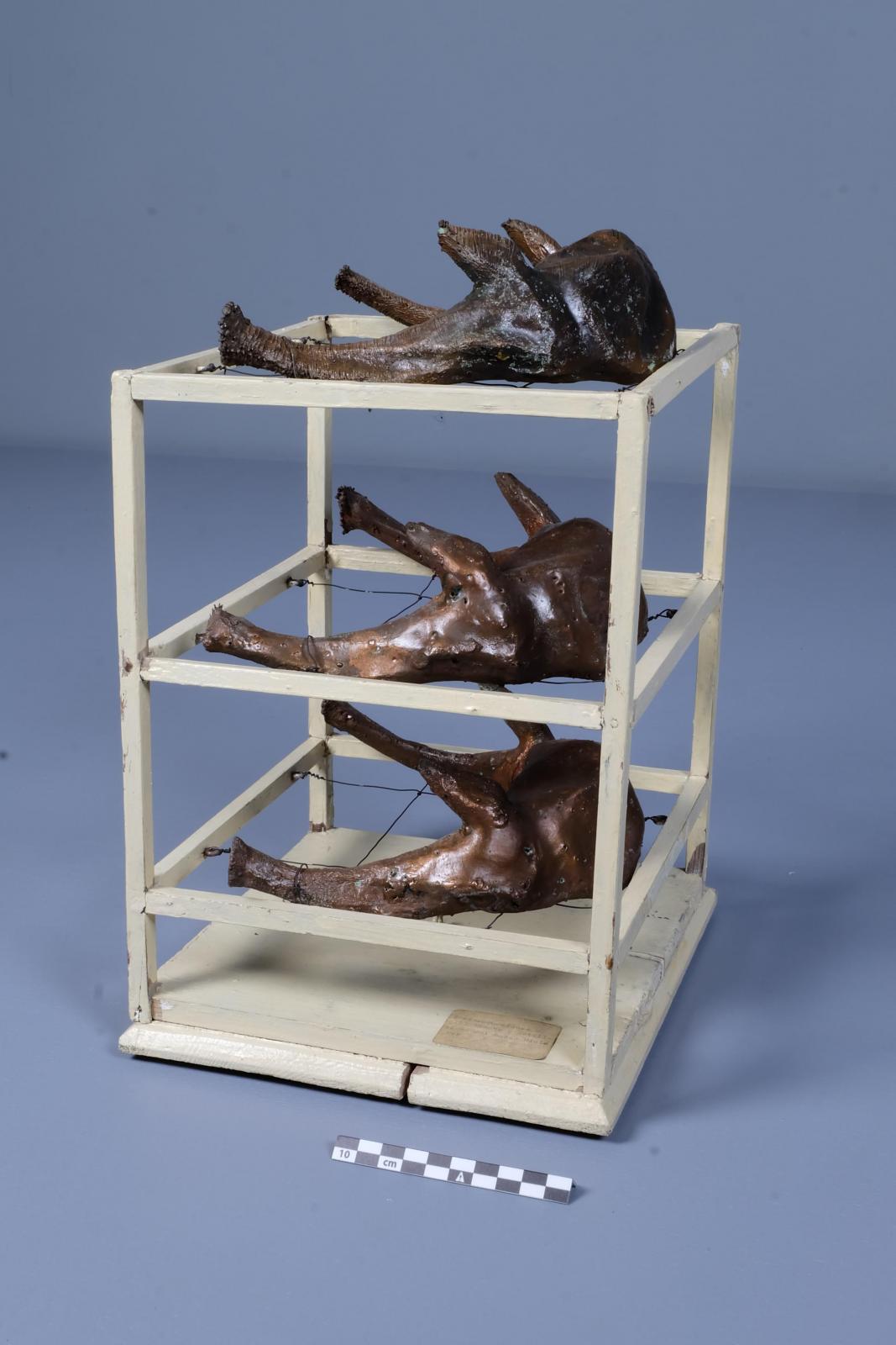 Modelos de hueso hioides