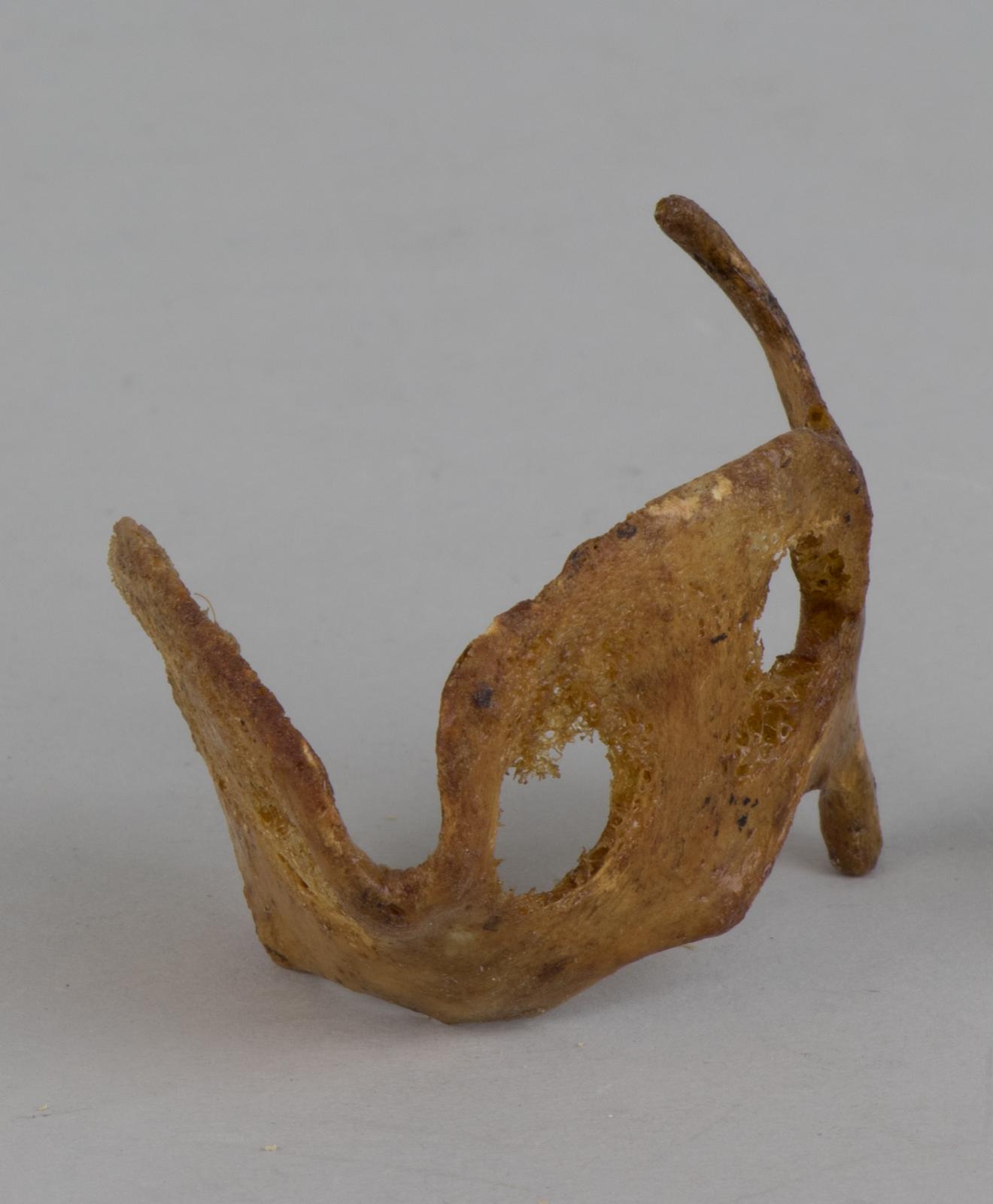 Cartílago tiroides 11