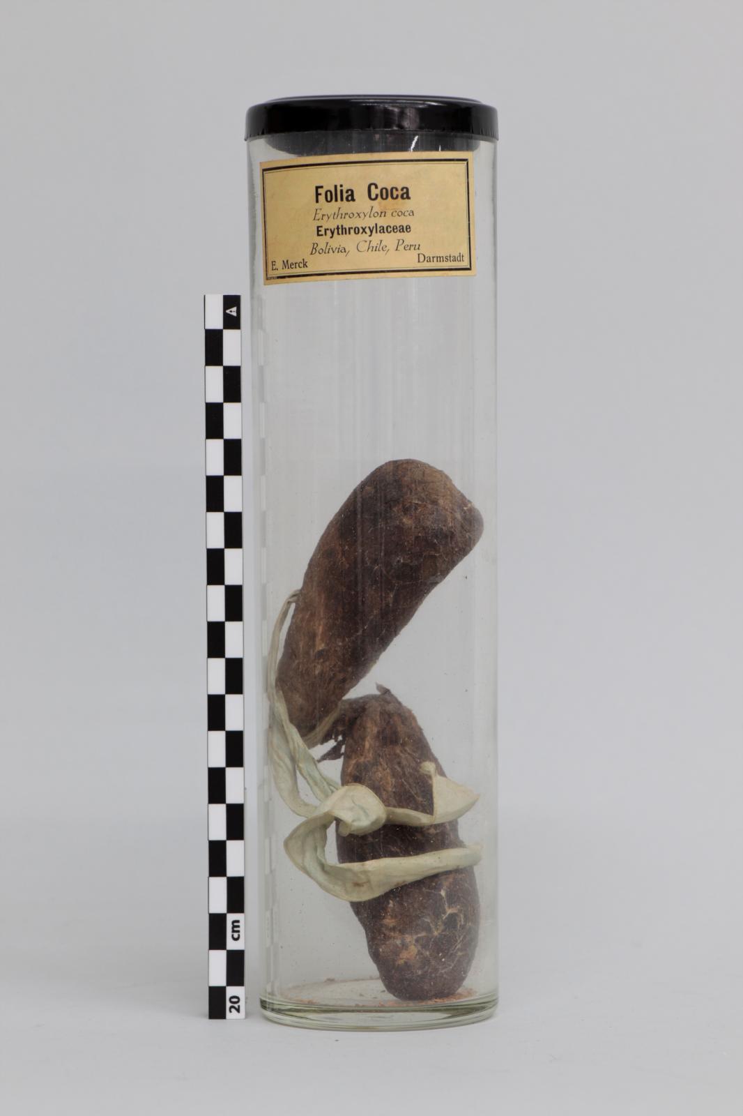 Bote de vidrio con “Folia coca”