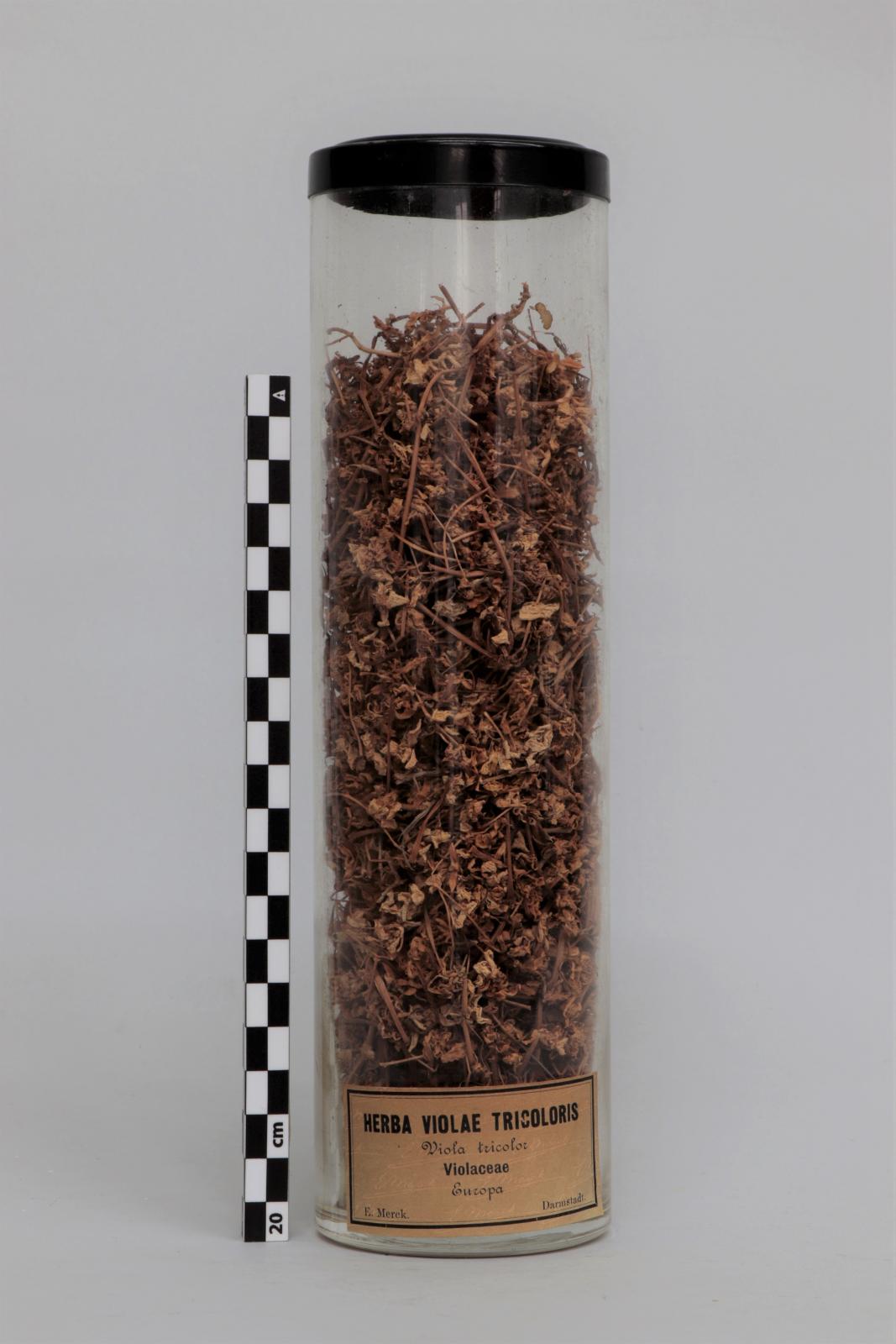 Bote de vidrio con “Herba  violae tricoloris”