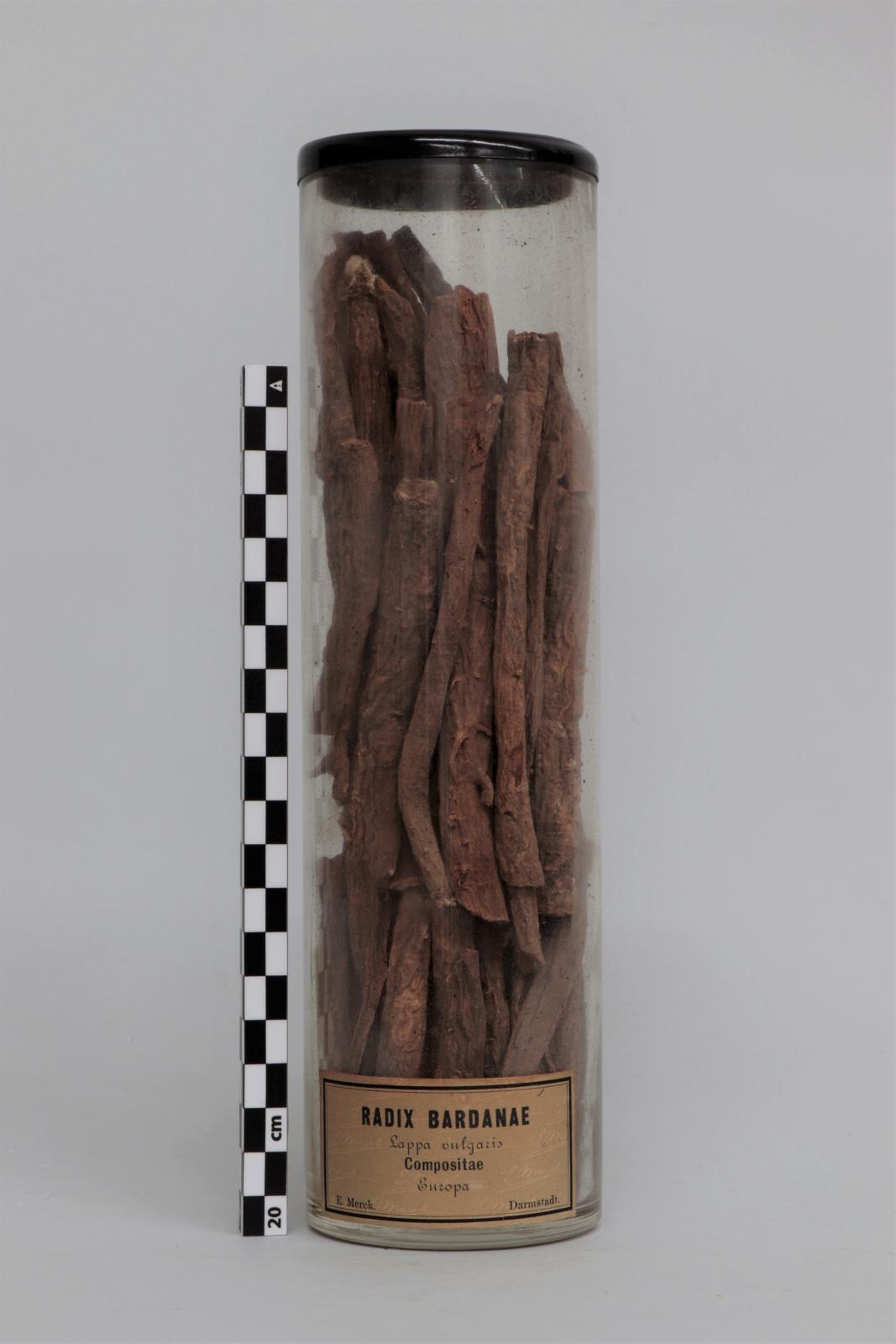 Bote de vidrio con “Radix  bardanae”