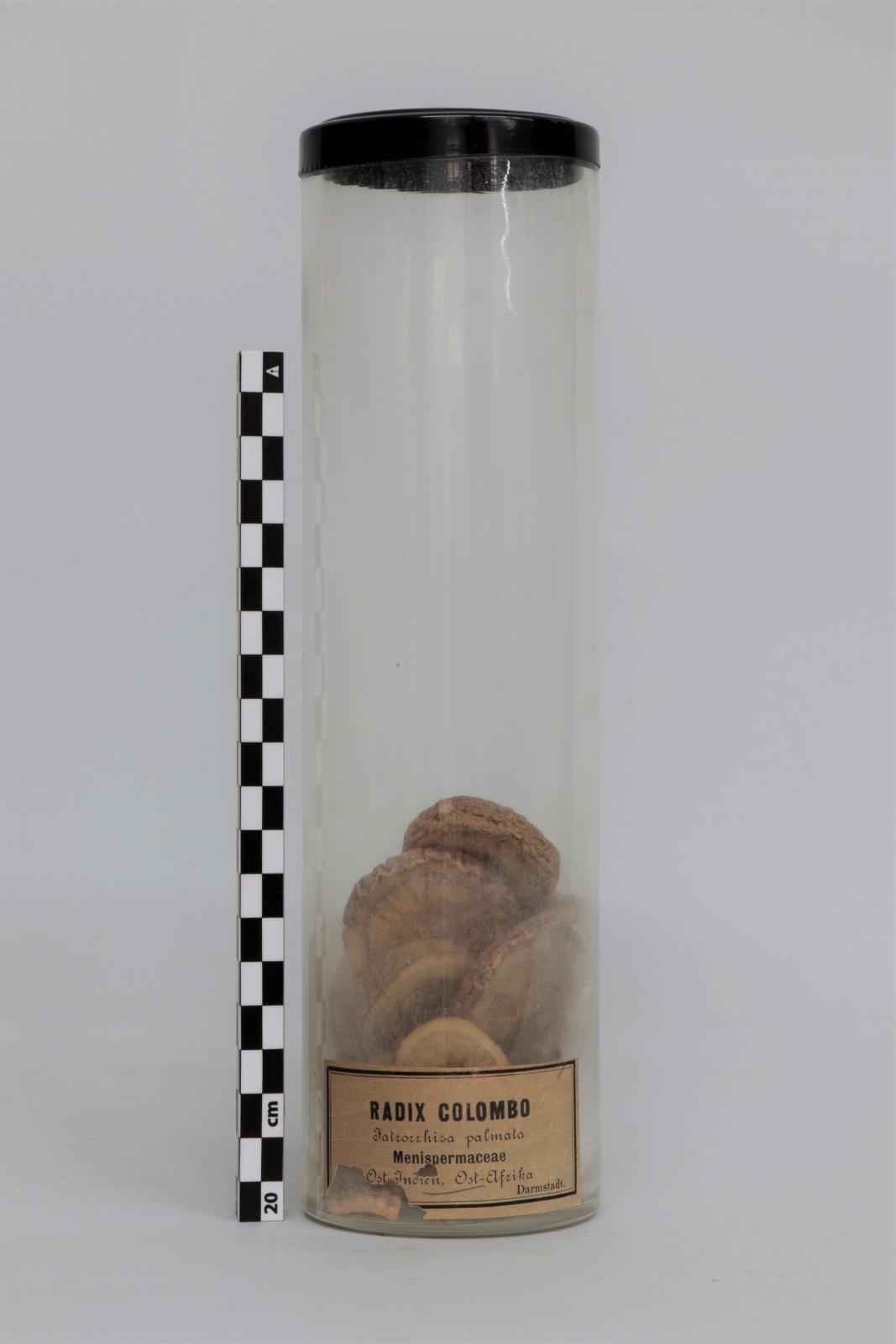 Bote de vidrio con “Radix  colombo”