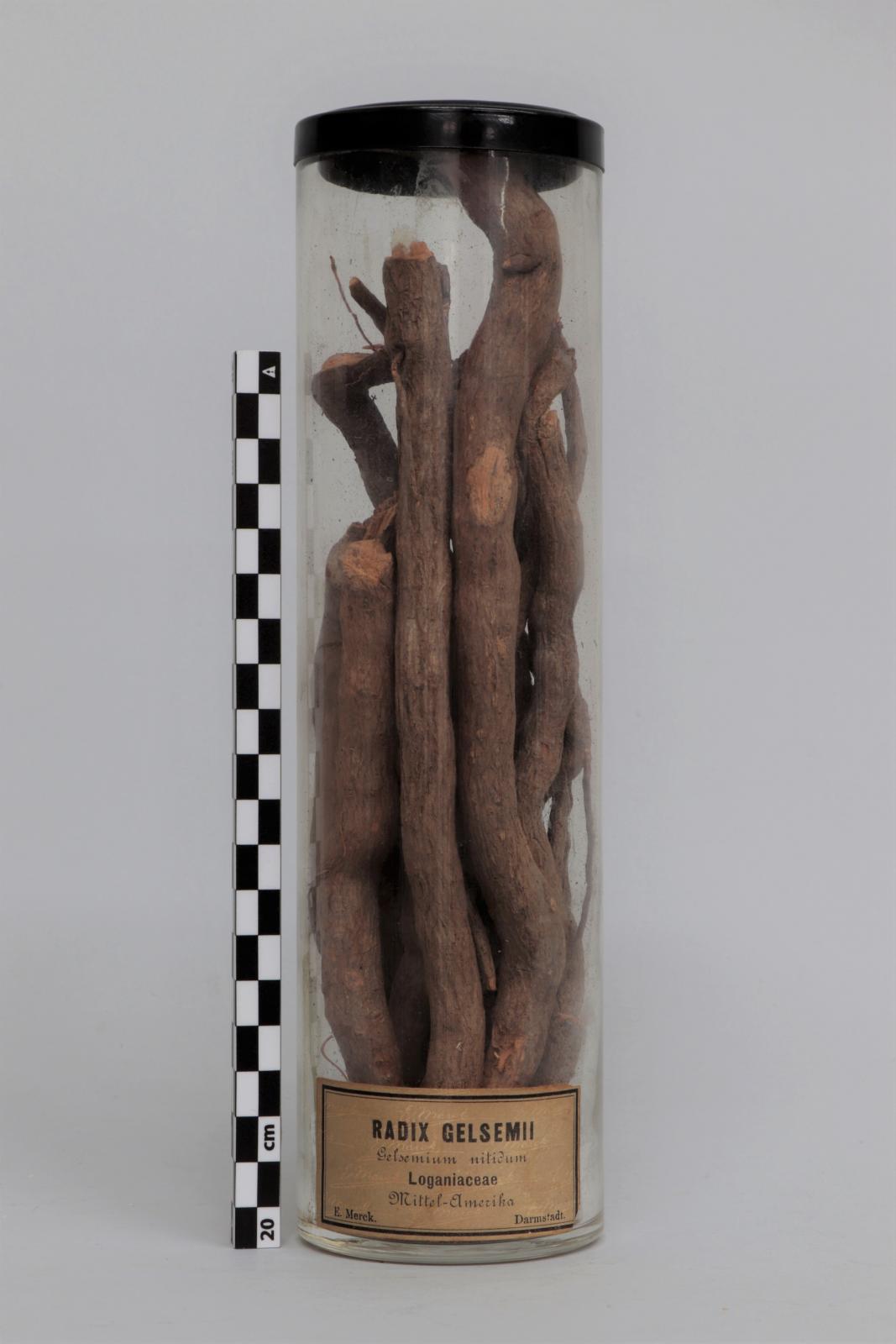  Bote de vidrio con “Radix  gelsemii”