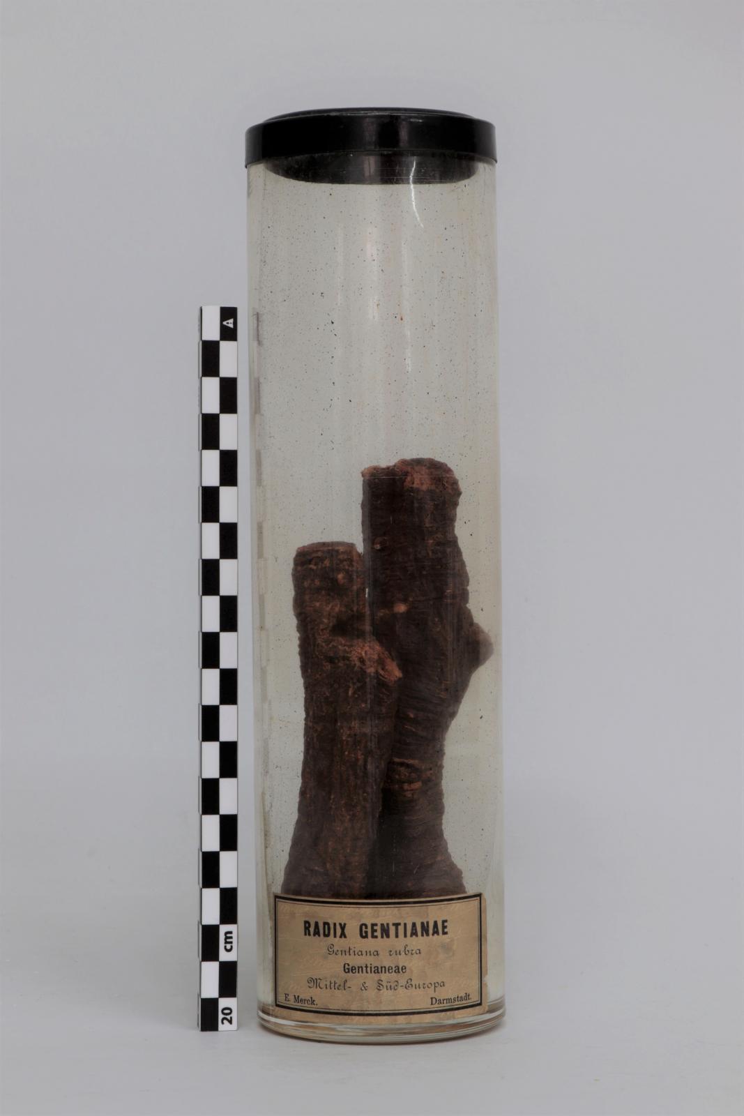  Bote de vidrio con “Radix  gentianae”