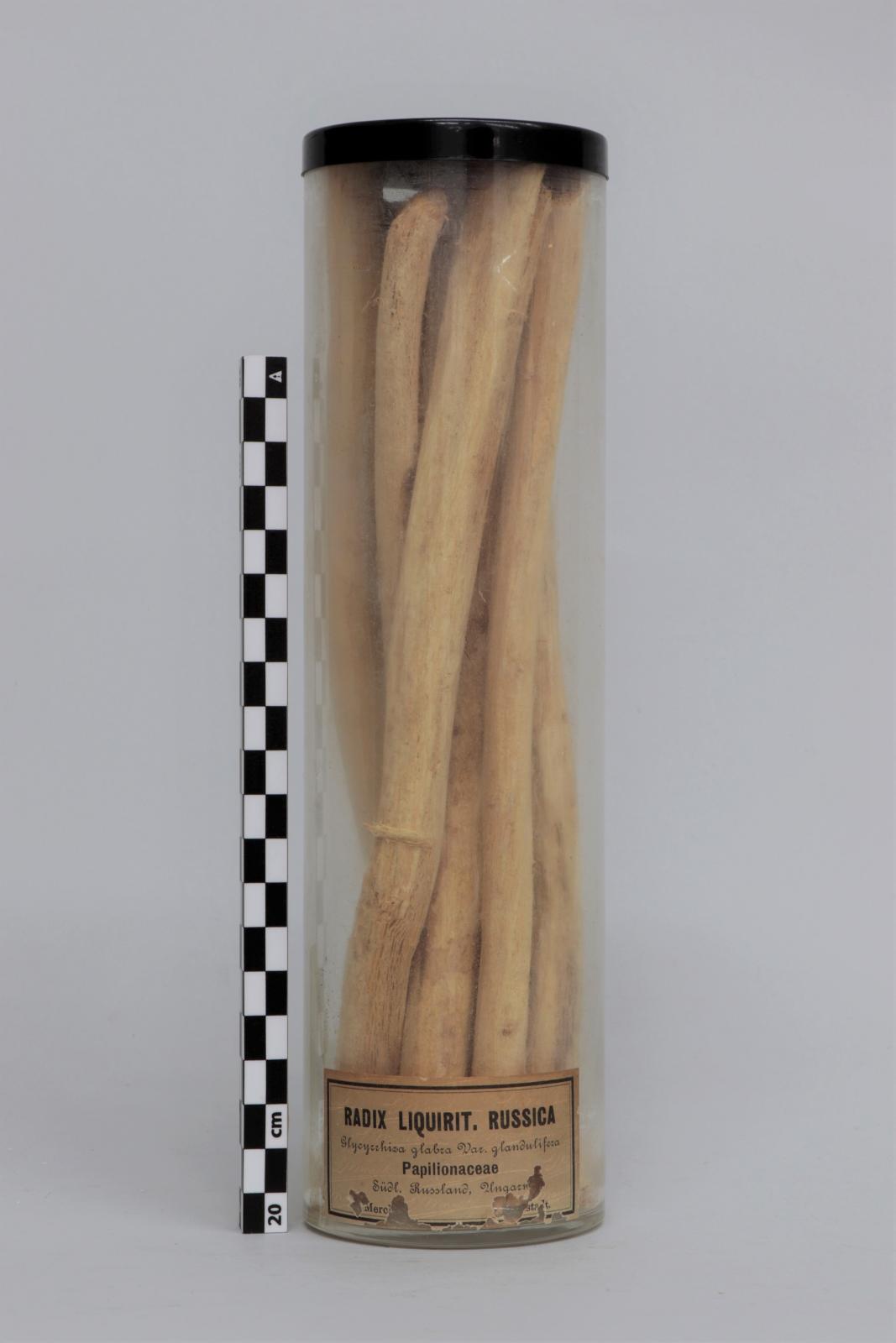 Bote de vidrio con “Radix  liquirit. russica”