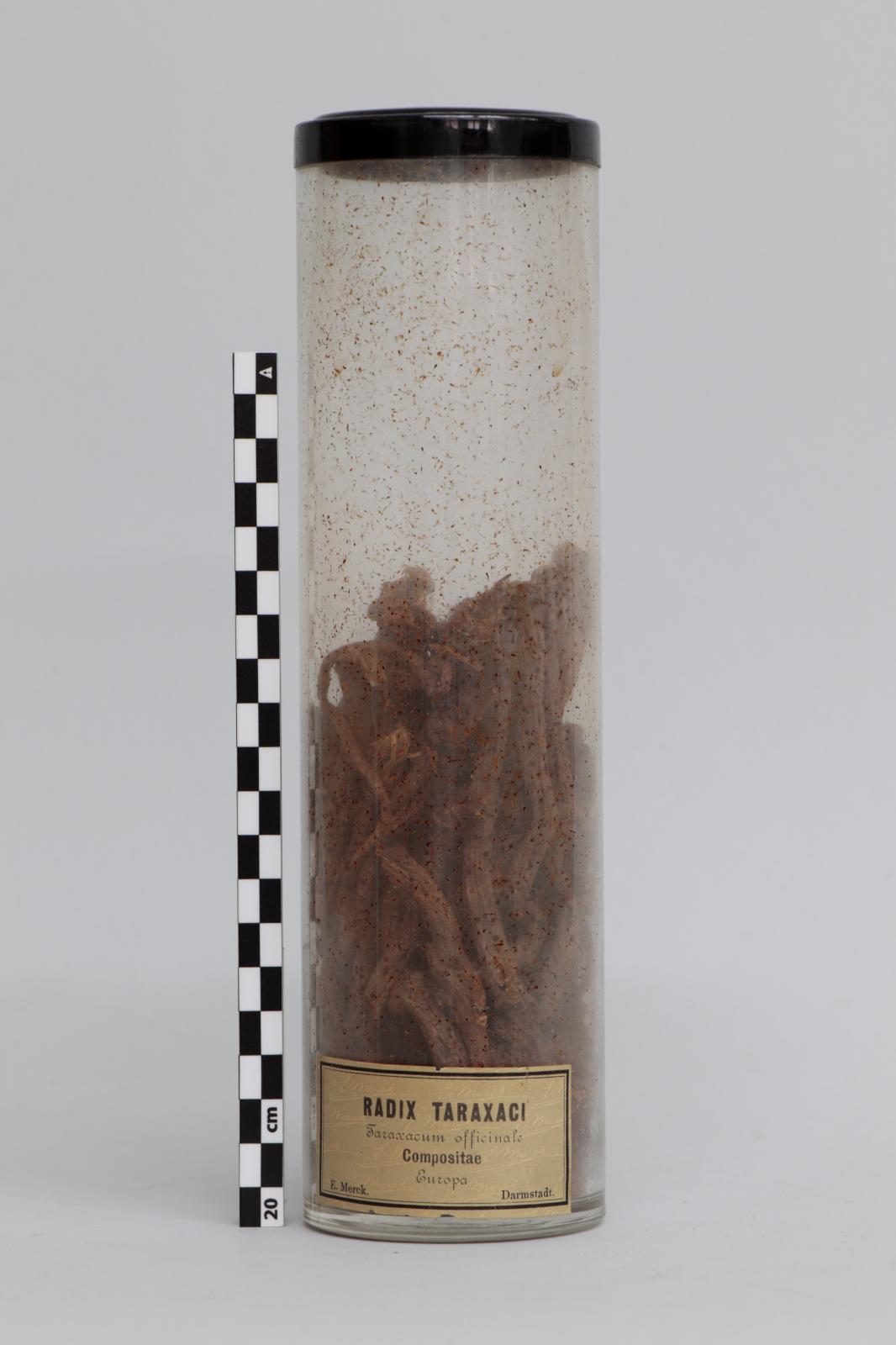  Bote de vidrio con “Radix  taraxaci”