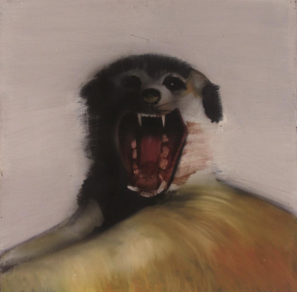 Cinética Transformante-Tragedia 1-16. Cánido