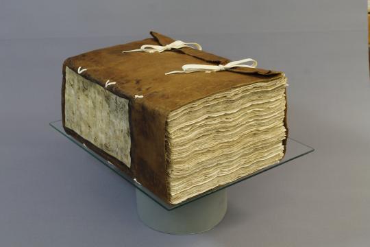 Imagen representativa de Bibliográfico y Documental