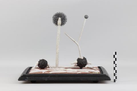 Vista trasera del modelo