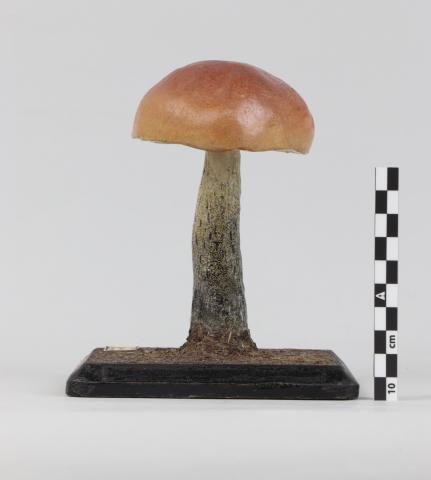 Vista del lateral derecho