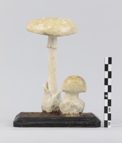 Vista del lateral derecho