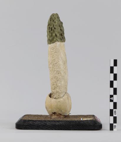 Vista del lateral izquierdo